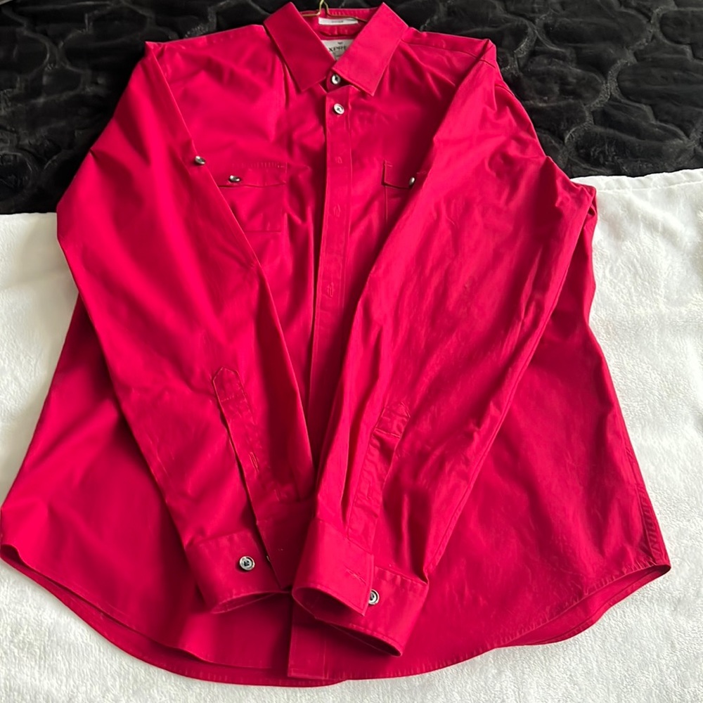 Express button down dress shirt. Size Large